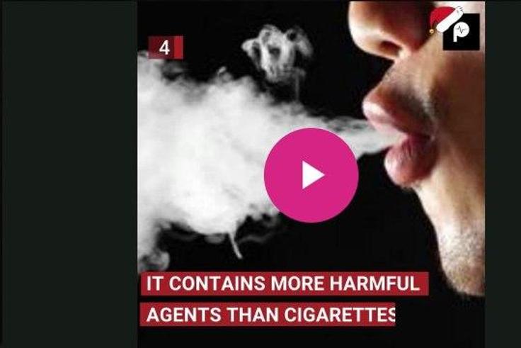 ___7793387___2018___1___2___15___facts+about+shisha