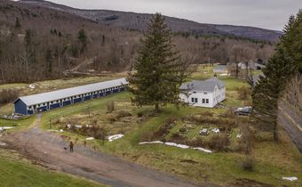Forget the Suburbs, It's Country or Bust