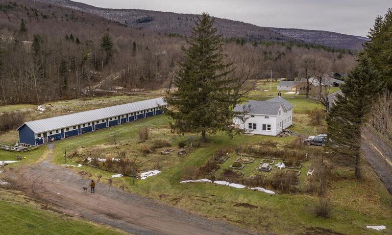 Forget the Suburbs, It's Country or Bust