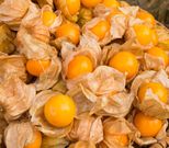 Cape gooseberries(tradewindsfruit)