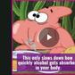 ___8718407___2018___8___13___7___Exposing+Myths+Za+Ulevi
