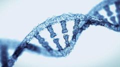 5 serious health conditions that can be passed down through your genes