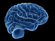 15 facts about the human body that will blow your mind