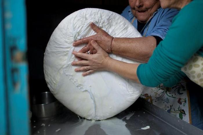 Halloumi cheese generates millions of euros for the Cypriot economy