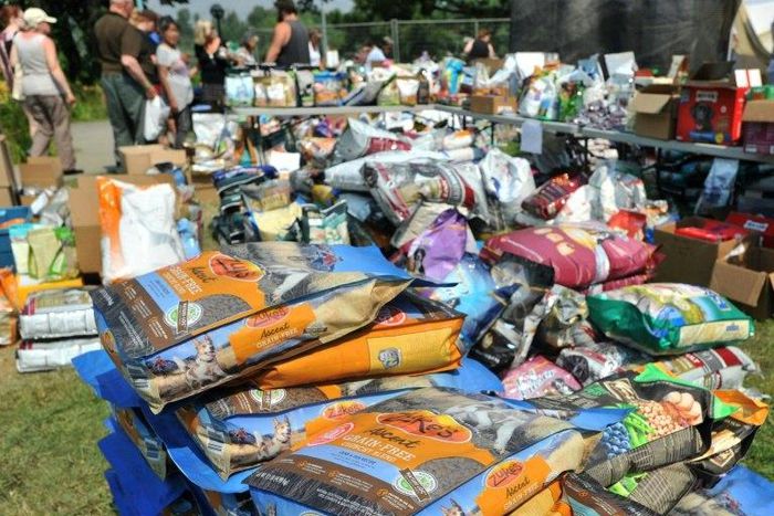 Volunteers help pet owners evacuated from the Kamloops area of British Columbia as forest fires rage