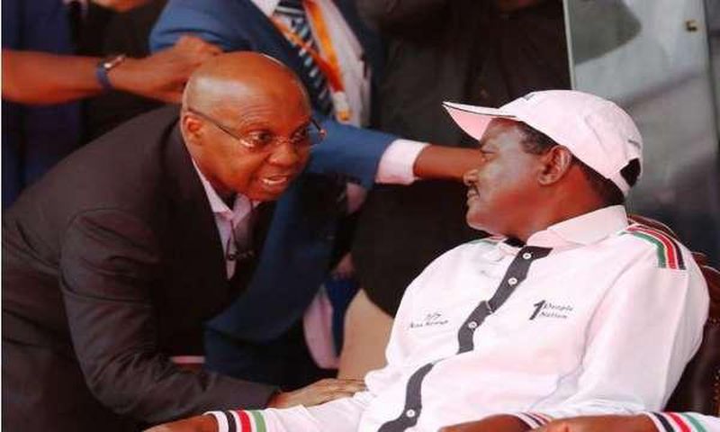 ___7107790___https:______static.pulse.com.gh___webservice___escenic___binary___7107790___2017___8___7___11___Wanjigi1_2
