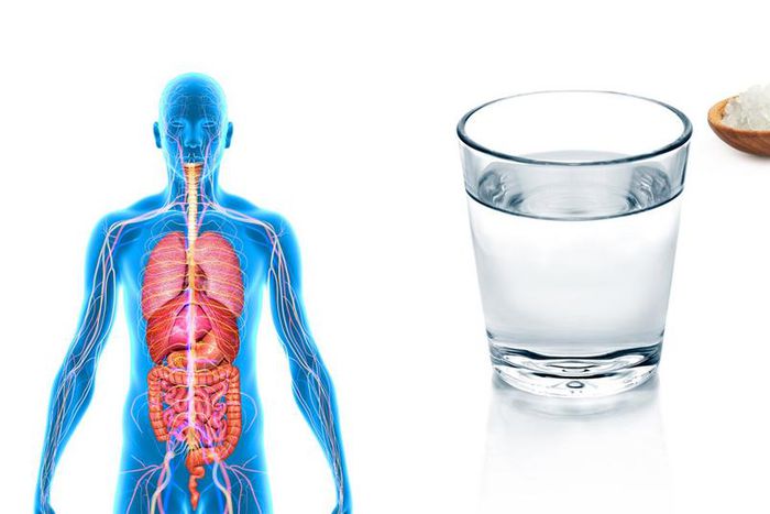 ___9184898___2018___12___10___13___everything_soulful_salt_water_flush_3