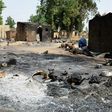 Burnt livestock and litter left behind after an attack by Boko Haram on the mainly Shuwa Arab village of Mairi in northeast Borno state, epicentre of its bloody eight-year insurgency