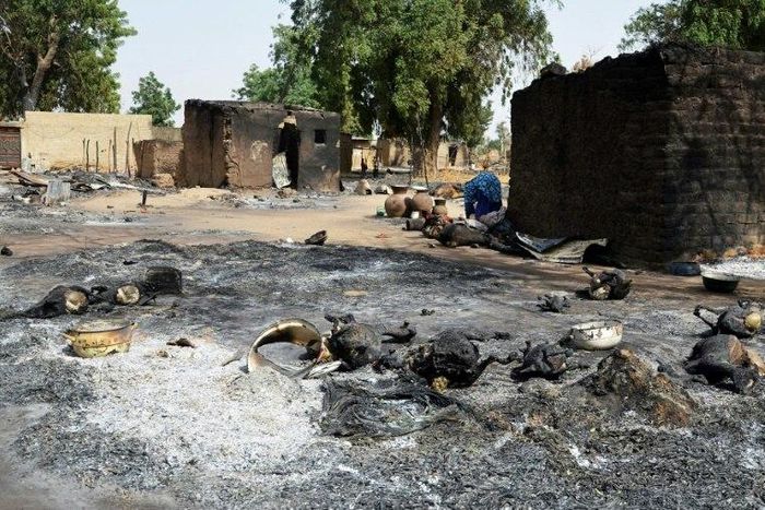 Burnt livestock and litter left behind after an attack by Boko Haram on the mainly Shuwa Arab village of Mairi in northeast Borno state, epicentre of its bloody eight-year insurgency