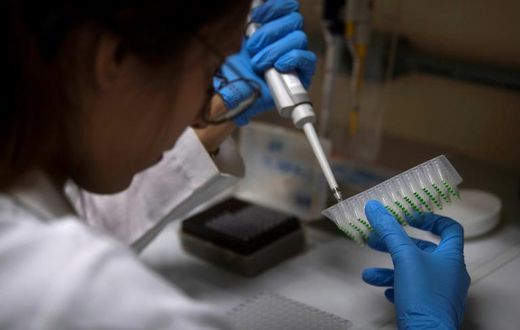 A student of the Federal University of Rio de Janeiro works at a biology laboratory