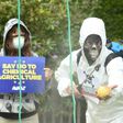 Demonstrators protest against the use of weedkiller glyphosate in Brussels on May 18, 2016