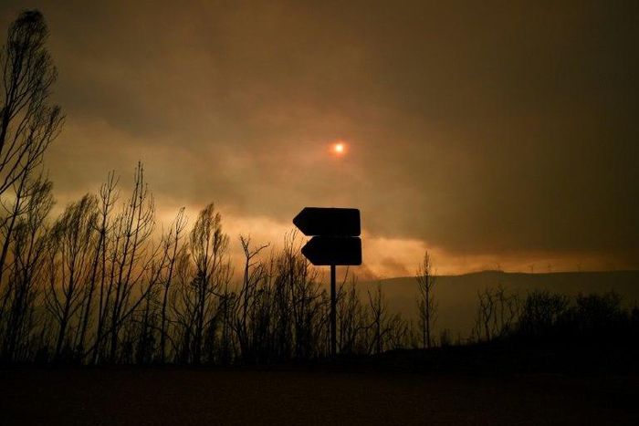 Portugal declared three days of national mourning after the deadliest forest fire in its recent history