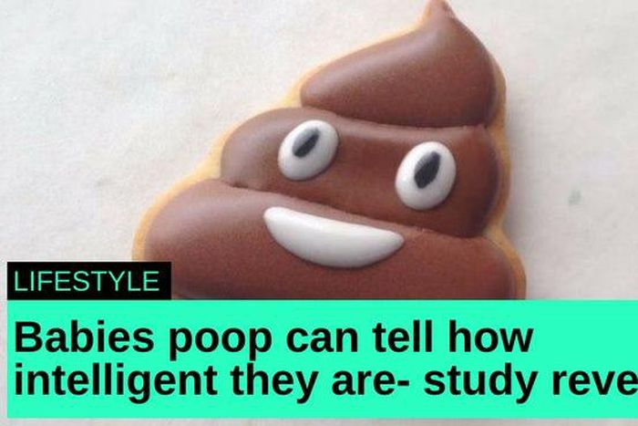 ___7222593___https:______static.pulse.com.gh___webservice___escenic___binary___7222593___2017___8___29___10___poop