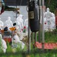 South Korean health officials prepare to bury chickens at a farm in Jeju after the bird flu virus hit