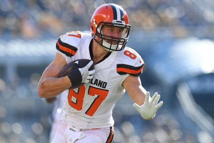 Seth DeValve, pictured in January 2017, joined around a dozen Browns players in taking a knee to pray during the playing of the US national anthem