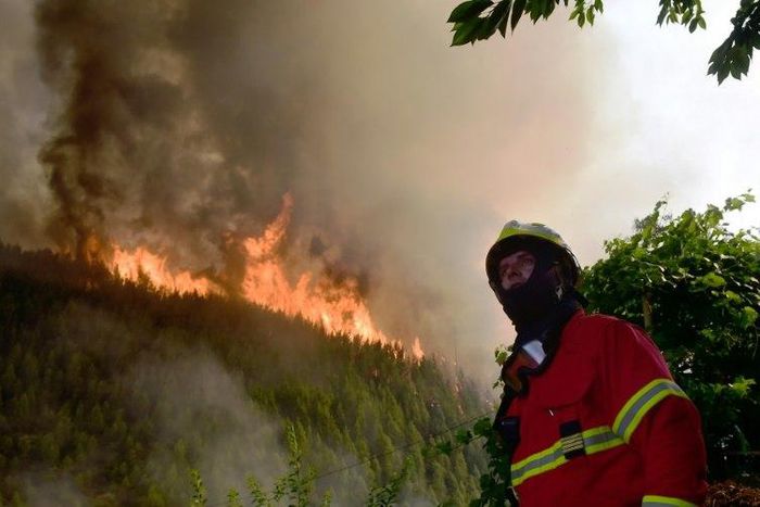 A firefighter looks on as he works to extinguish a wildfire in Carvalho, next to Pampilhosa da Serra