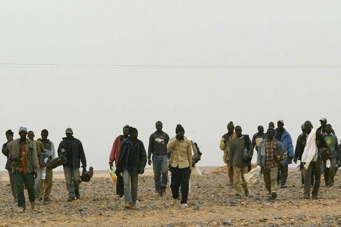 African migrants walk in the middle of the Sahara Desert on October 8, 2005