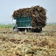 Mexico has agreed to reduce exports of refined sugar to the US in return for continued duty-free access to its market, Mexican officials say. Pictured here is a worker harvesting sugar cane in the Mexican state of Puebla