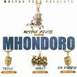 Mclyne Beatz teams up with Lil Dizzie on the track, 'Mhondoro'.