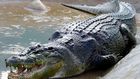 ___8976342___2018___10___14___12___Crocodile