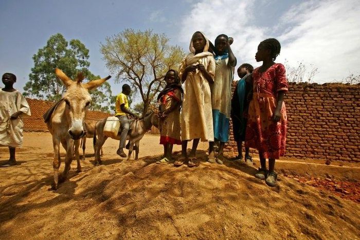 Sudanese women and children stand next to a donkey in the war-torn town of Golo in the thickly forested mountainous area of Jebel Marra in central Darfur on June 19, 2017