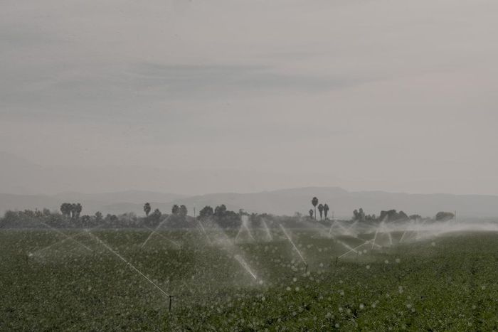 Dismissing Science Has Put Workers at Risk