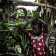 Months of ongoing violence in DR Congo's central Kasai region has claimed more than 3,300 lives and forced more than 1.3 million people into exile