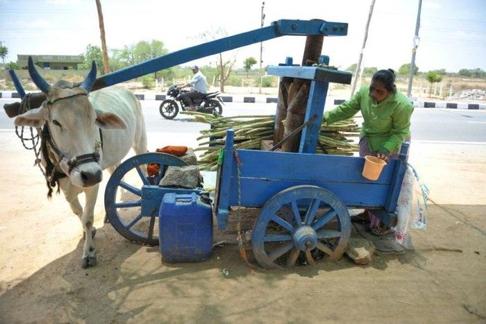 Rights groups have also warned of a culture of impunity for crimes committed against Muslims -- often on the pretext of protecting cows -- and urged the country's Hindu nationalist government to act