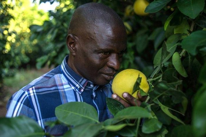Moletele leader Hezekiel Nkosi says farming was a struggle just after the community won their legal battle