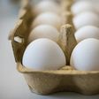 Eggs contaminated with the chemical fipronil have been found across Europe