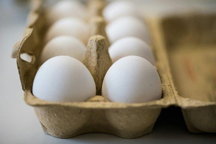Eggs contaminated with the chemical fipronil have been found across Europe
