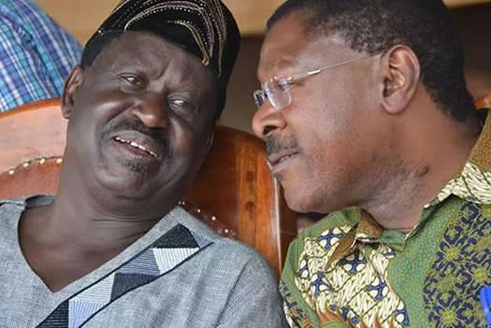 Bungoma Senator Moses Wetangula got Kenyans confused on Wednesday after he called former Prime Minister Raila Odinga the opposition leader.
