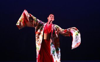 Deborah Zall, 84, Dies; Depicted Extraordinary Women in Dance