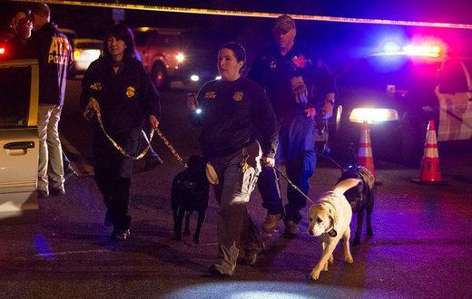 Austin police respond to another explosion, hours after plea to bomber