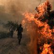Greek firefighters and volunteers trying to extinguish a fire east of Athens, as the army was called in to assist the effort