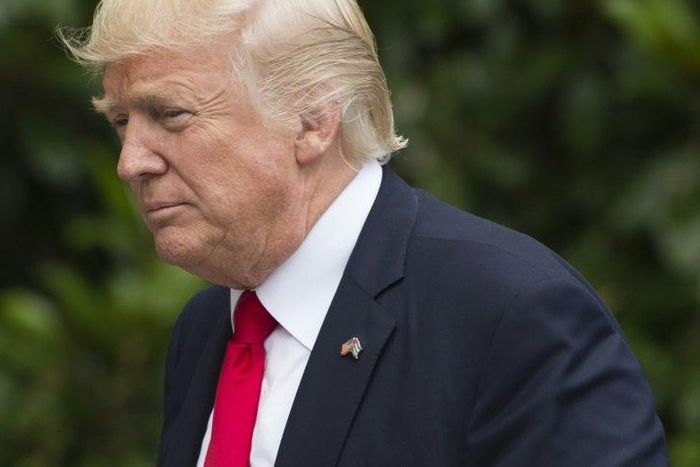 US President Donald Trump has denied trying to influence the FBI investigation into alleged Russian election meddling