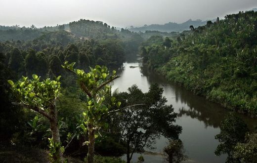 Madagascar is the world's fourth largest island, bigger than Spain or Thailand in size
