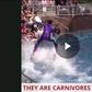 ___7816121___2018___1___8___12___Facts+about+dolphins