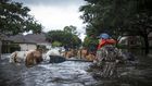 After a Natural Disaster, Is It Better to Rebuild or Retreat?