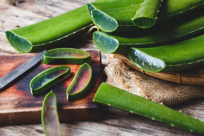 5 amazing benefits of aloe vera on the skin