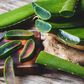 5 amazing benefits of aloe vera on the skin