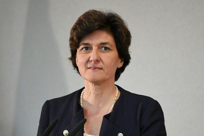 French Defence Minister Sylvie Goulard said she could not remain in the government while there was a possibility that she could be investigated over alleged misuse of expenses at that parliament
