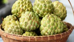 Custard apple