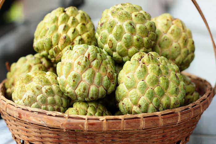 Custard apple