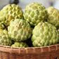 Custard apple