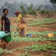 Months of conflict in the Kasai region of the Democratic Republic of Congo have left many villagers unable to plant their crops