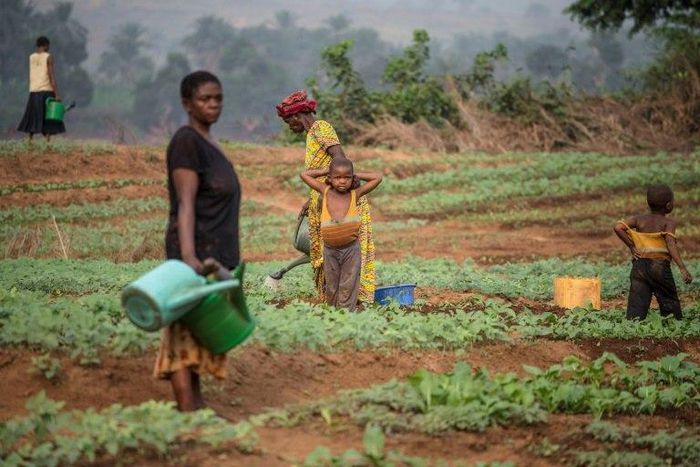 Months of conflict in the Kasai region of the Democratic Republic of Congo have left many villagers unable to plant their crops