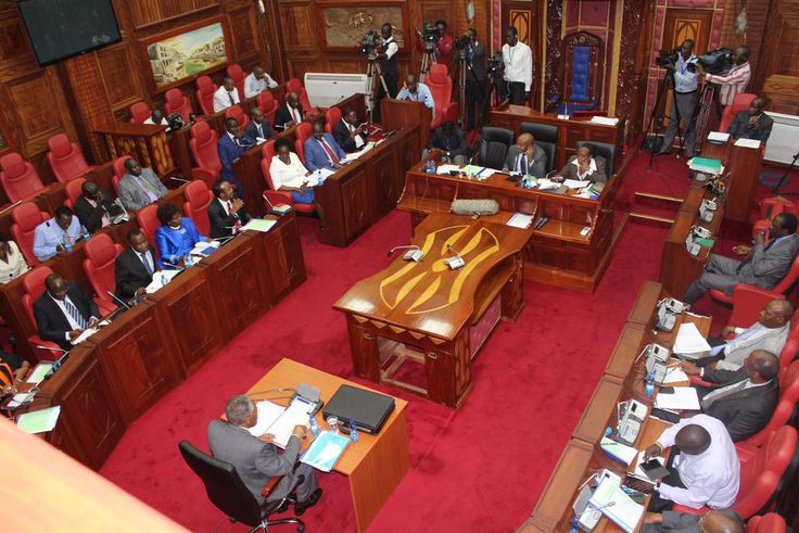 File image of a session in Kenya's Senate