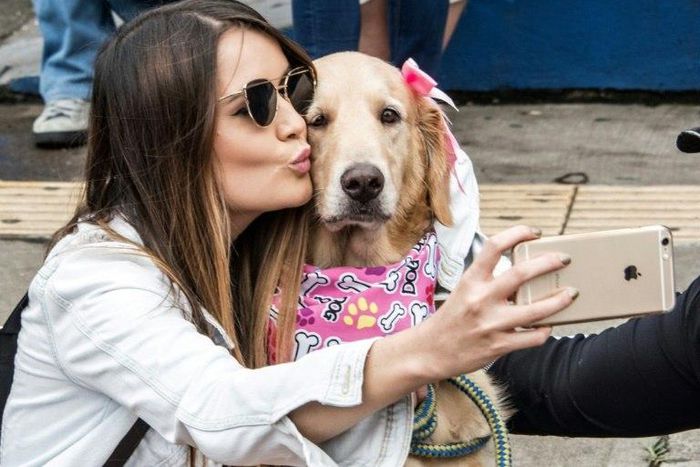 People celebrated in the streets of San Jose after a new law which establishes fines and prison sentences for those who harm an animal