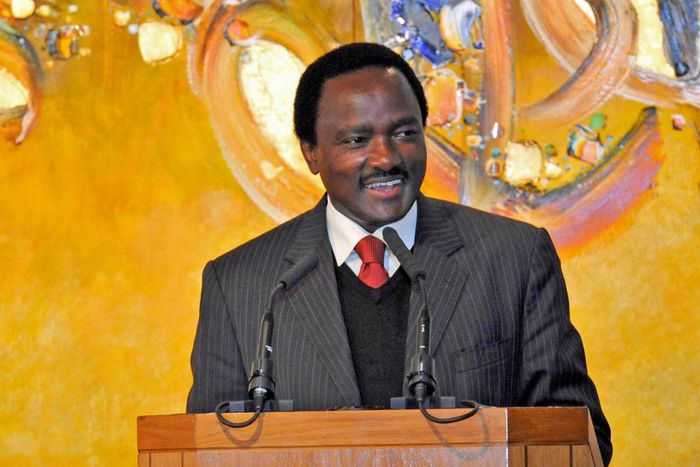 ___6784738___https:______static.pulse.com.gh___webservice___escenic___binary___6784738___2017___6___5___9___Stephen+Kalonzo+Musyoka